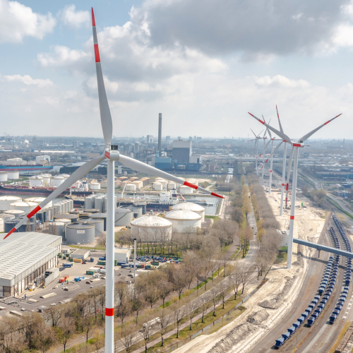 WPNH_210419-0756 rechtgetrokken.jpg
